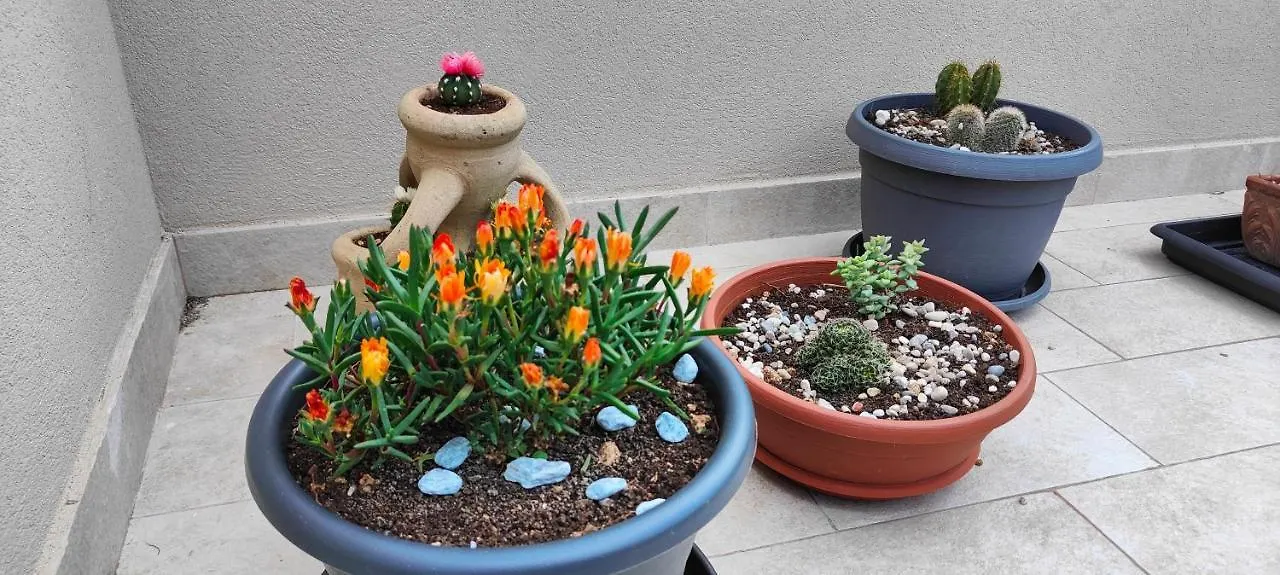 Casa Vacanze Rainbow, Siracusa Syracuse Appartement